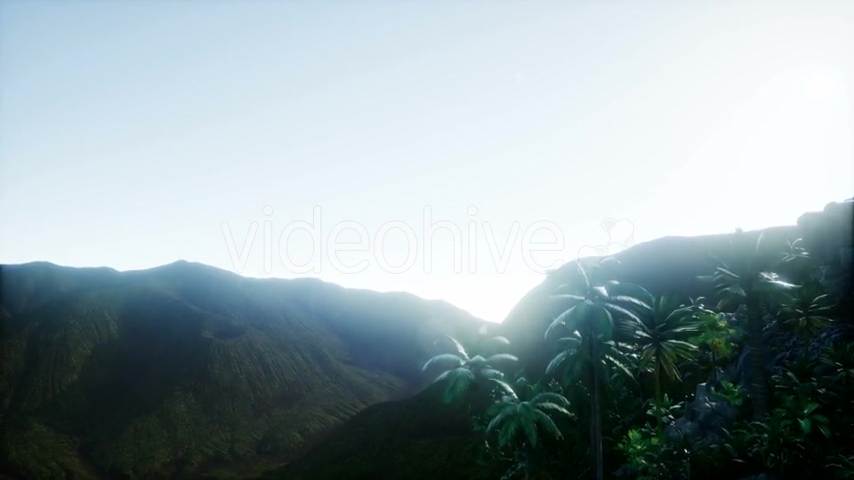 Mountain and Field Landscape with Palms - Download Videohive 21204821