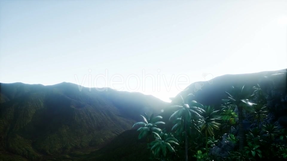 Mountain and Field Landscape with Palms - Download Videohive 21204821