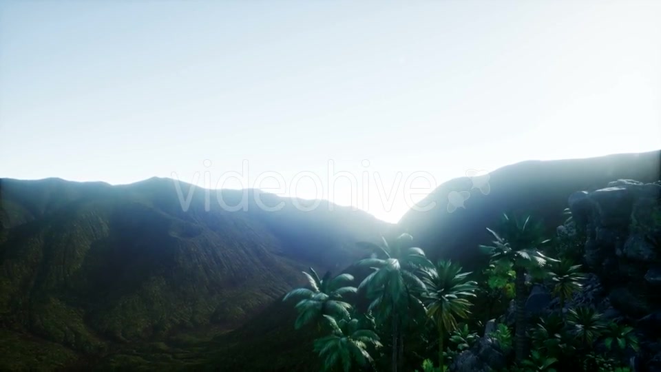 Mountain and Field Landscape with Palms - Download Videohive 21204821