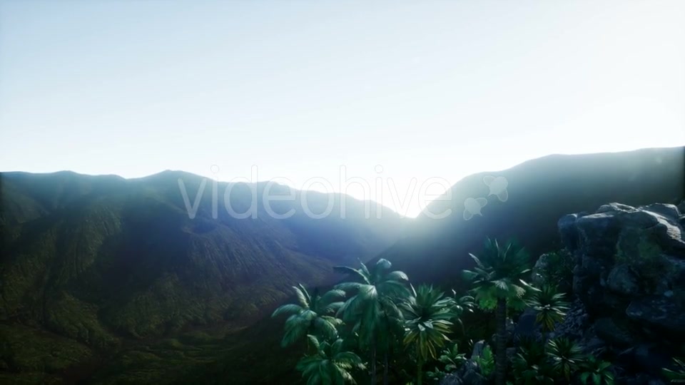 Mountain and Field Landscape with Palms - Download Videohive 21204821