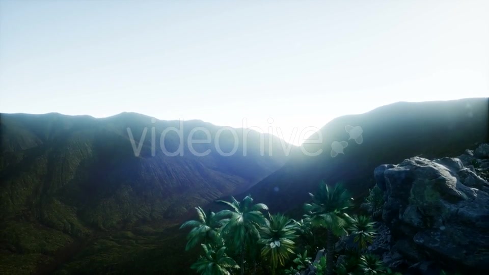 Mountain and Field Landscape with Palms - Download Videohive 21204821