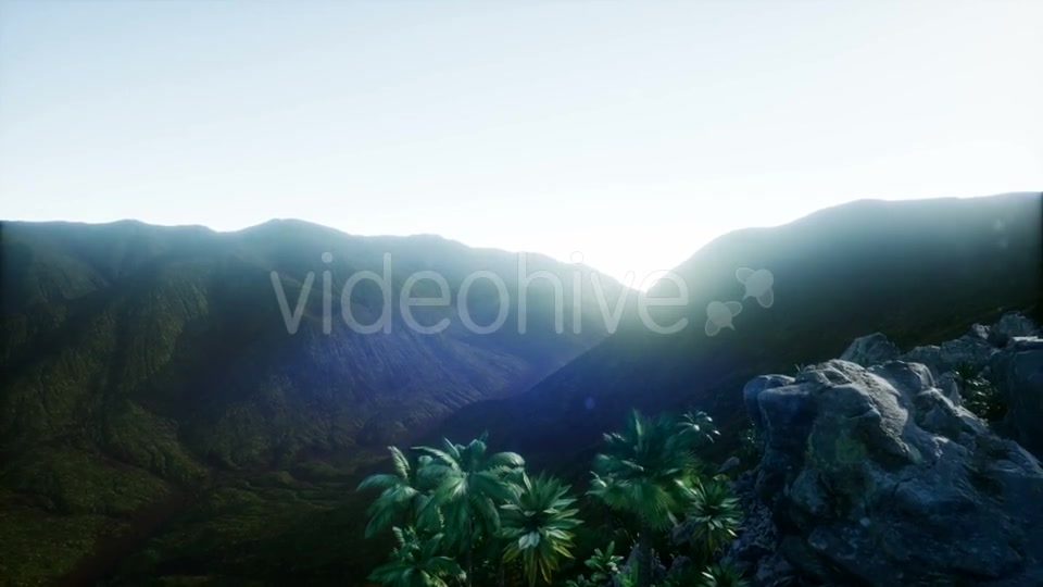 Mountain and Field Landscape with Palms - Download Videohive 21204821