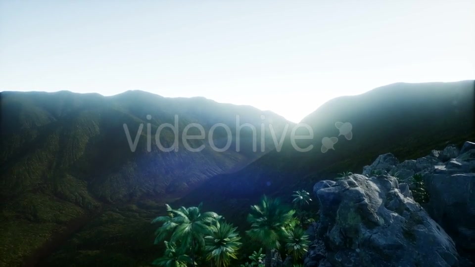 Mountain and Field Landscape with Palms - Download Videohive 21204821