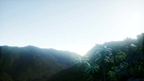 Mountain and Field Landscape with Palms - Download Videohive 21204821