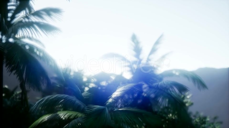 Mountain and Field Landscape with Palms - Download Videohive 21204886