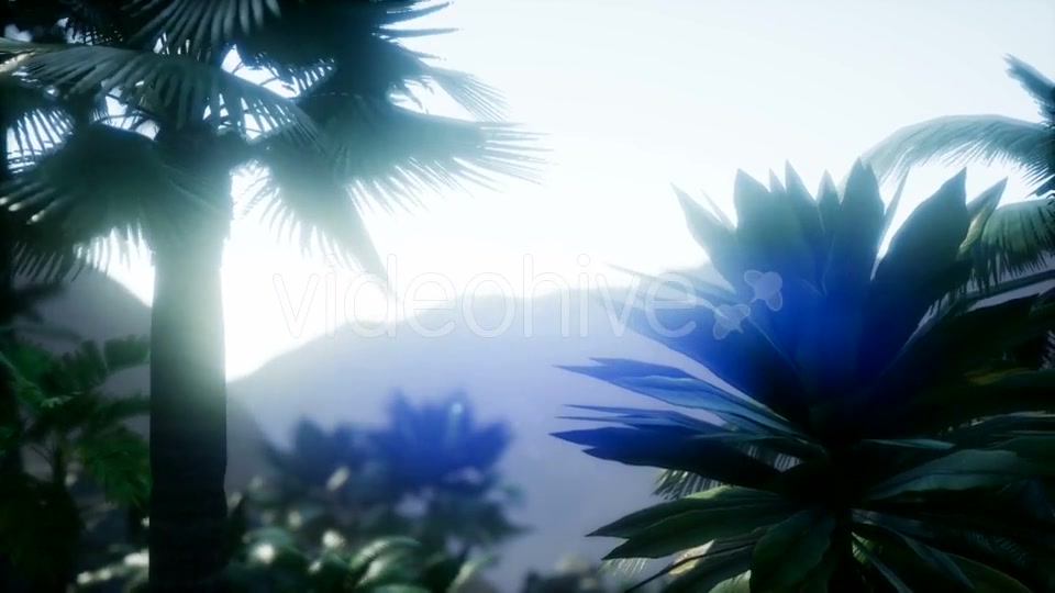 Mountain and Field Landscape with Palms - Download Videohive 21204886