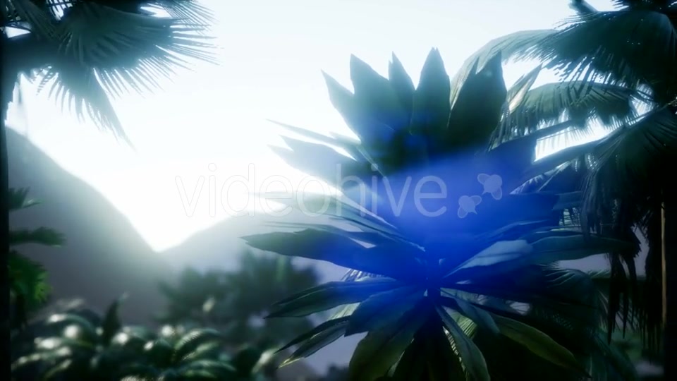 Mountain and Field Landscape with Palms - Download Videohive 21204886