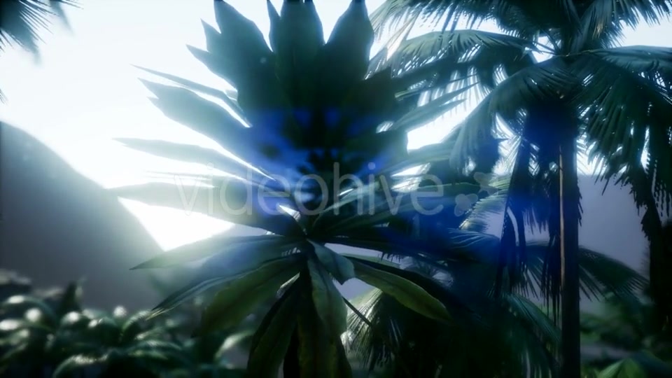 Mountain and Field Landscape with Palms - Download Videohive 21204886