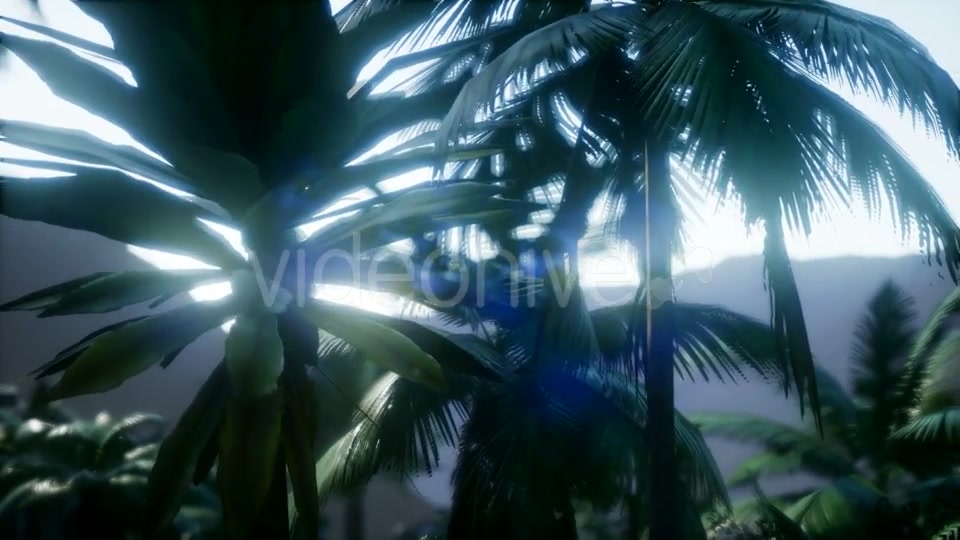 Mountain and Field Landscape with Palms - Download Videohive 21204886