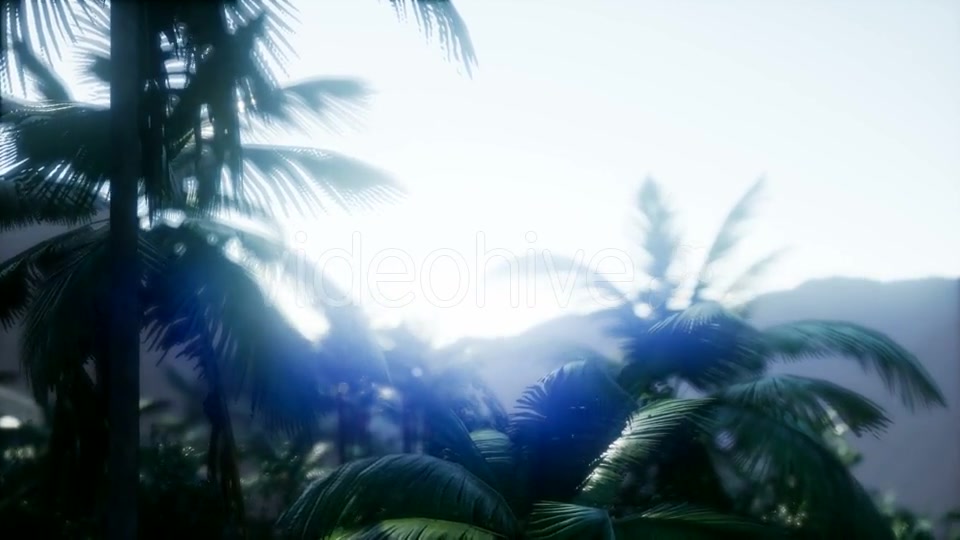 Mountain and Field Landscape with Palms - Download Videohive 21204886