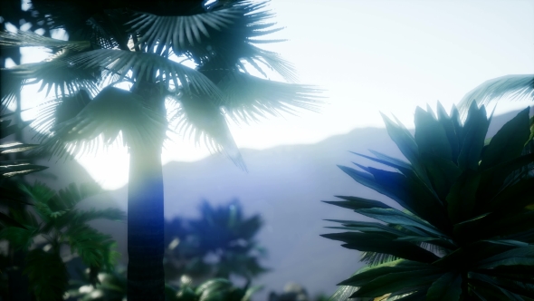 Mountain and Field Landscape with Palms - Download Videohive 21204886