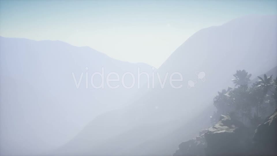 Mountain and Field Landscape with Palms - Download Videohive 21204938