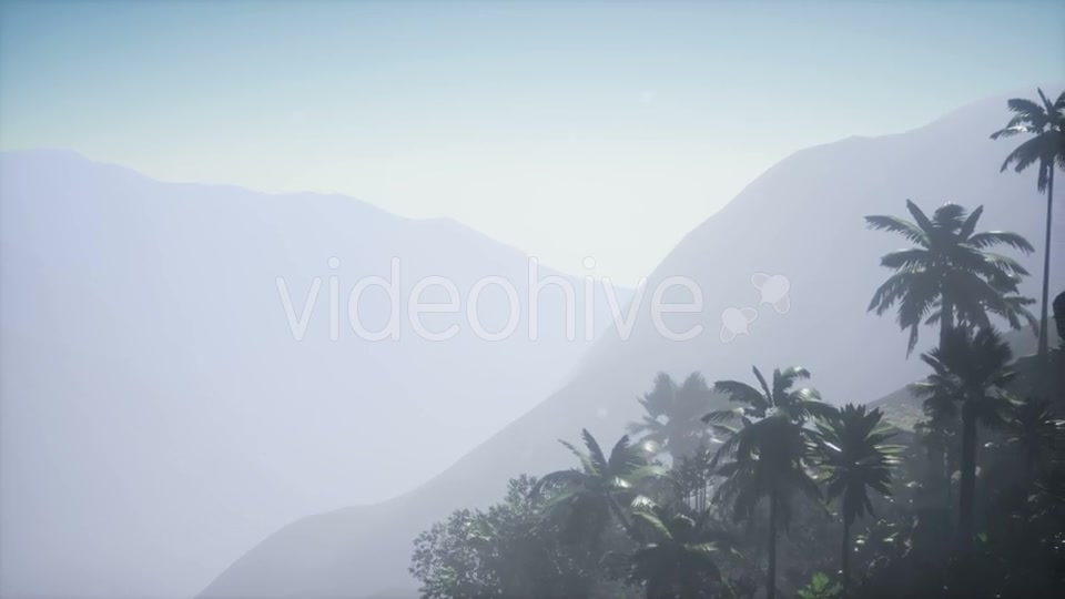 Mountain and Field Landscape with Palms - Download Videohive 21204938