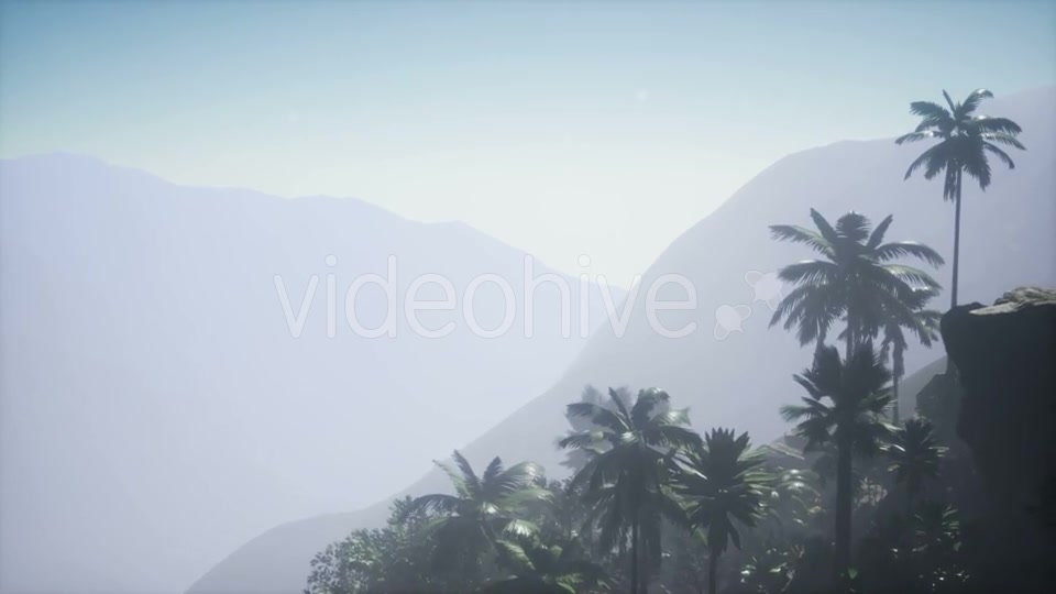 Mountain and Field Landscape with Palms - Download Videohive 21204938