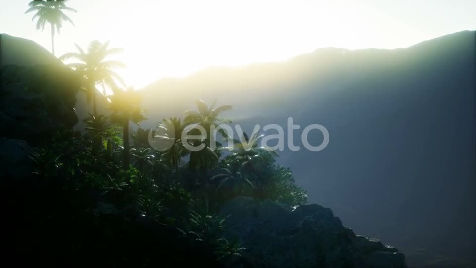 Mountain and Field Landscape with Palms - Download Videohive 21978445