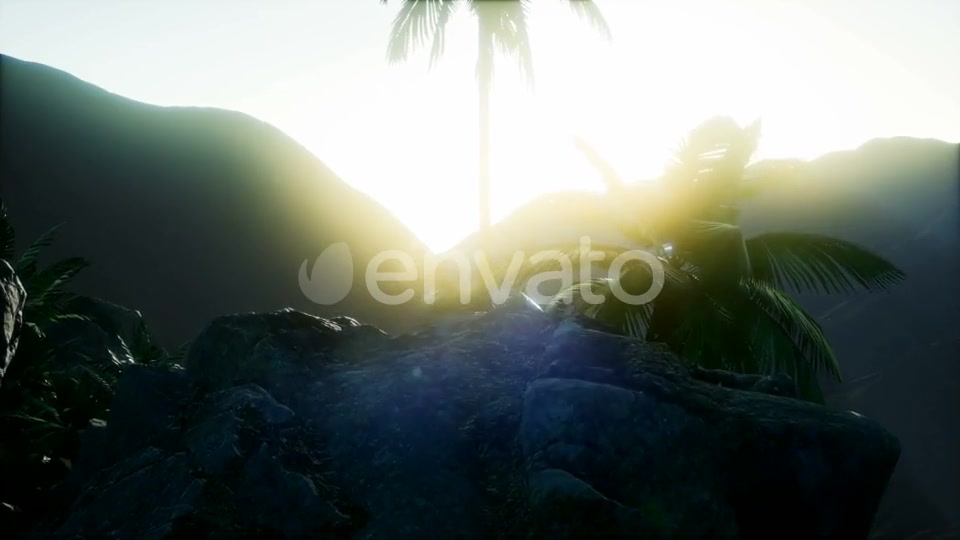 Mountain and Field Landscape with Palms - Download Videohive 21978445