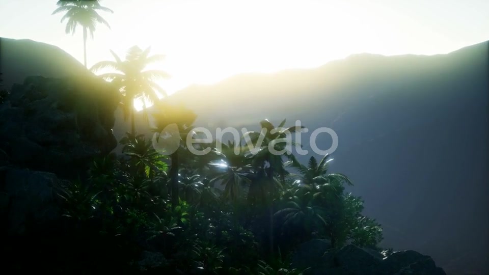 Mountain and Field Landscape with Palms - Download Videohive 21978445