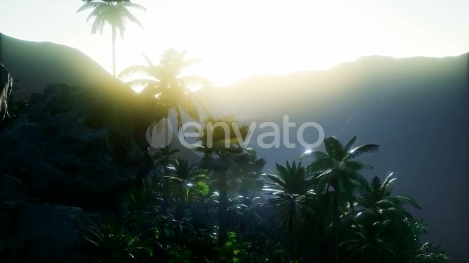 Mountain and Field Landscape with Palms - Download Videohive 21978445