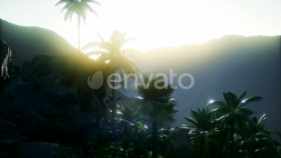 Mountain and Field Landscape with Palms - Download Videohive 21978445