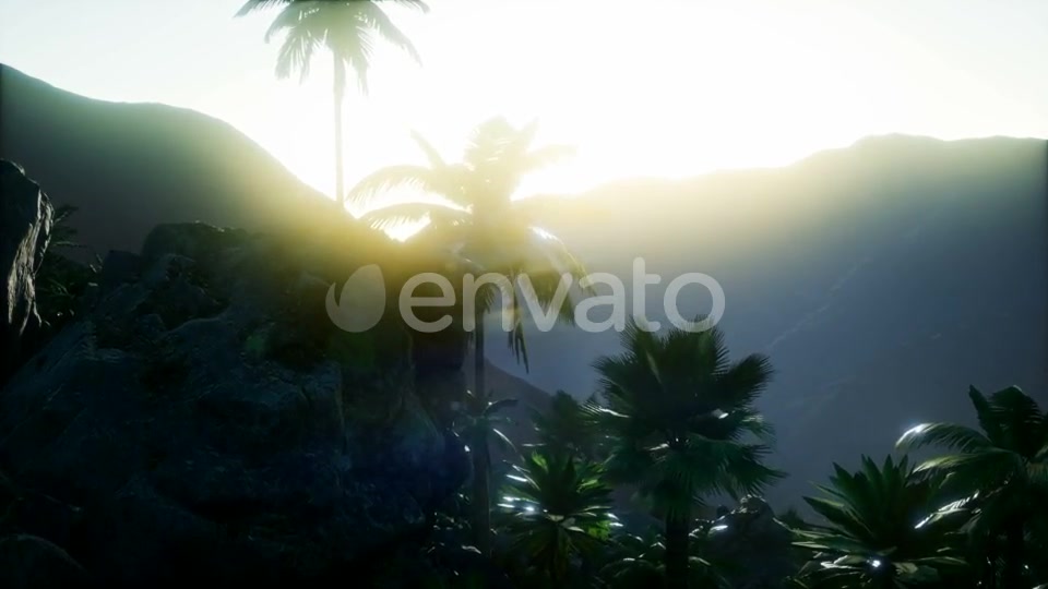 Mountain and Field Landscape with Palms - Download Videohive 21978445