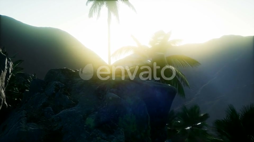 Mountain and Field Landscape with Palms - Download Videohive 21978445