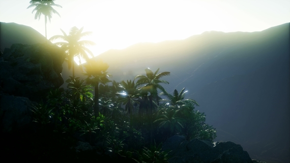 Mountain and Field Landscape with Palms - Download Videohive 21978445