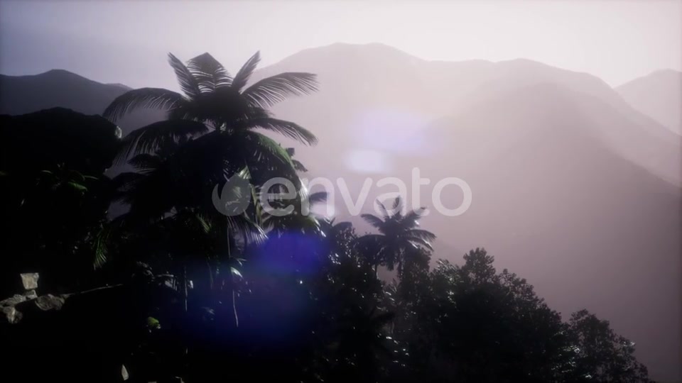 Mountain and Field Landscape with Palms - Download Videohive 21987141