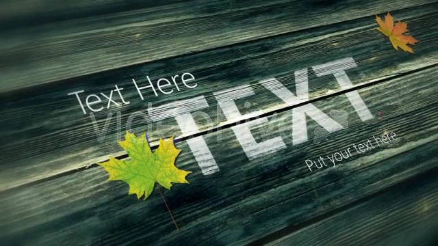 Moving Wood Texts Videohive 4177336 After Effects Image 12