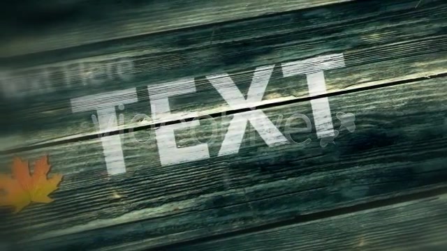 Moving Wood Texts Videohive 4177336 After Effects Image 4