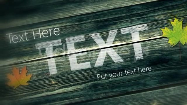 Moving Wood Texts Videohive 4177336 After Effects Image 5