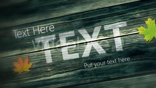 Moving Wood Texts Videohive 4177336 After Effects Image 6