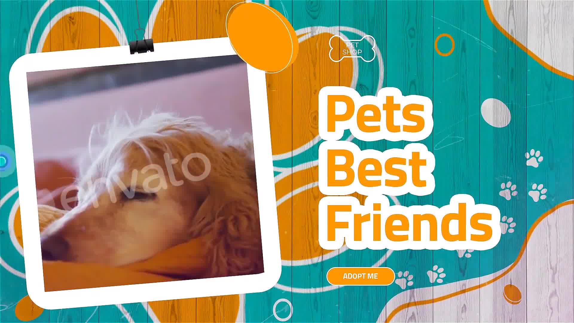 My Lovely Pet Videohive 37910354 After Effects Image 10