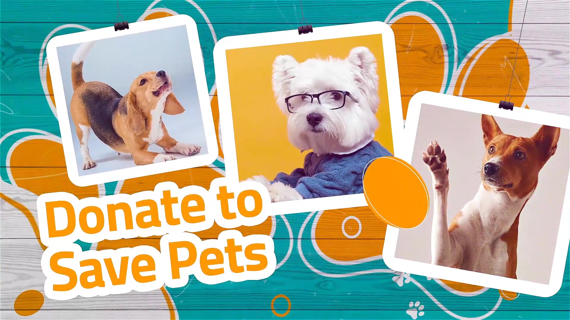My Lovely Pet Videohive 37910354 After Effects Image 4