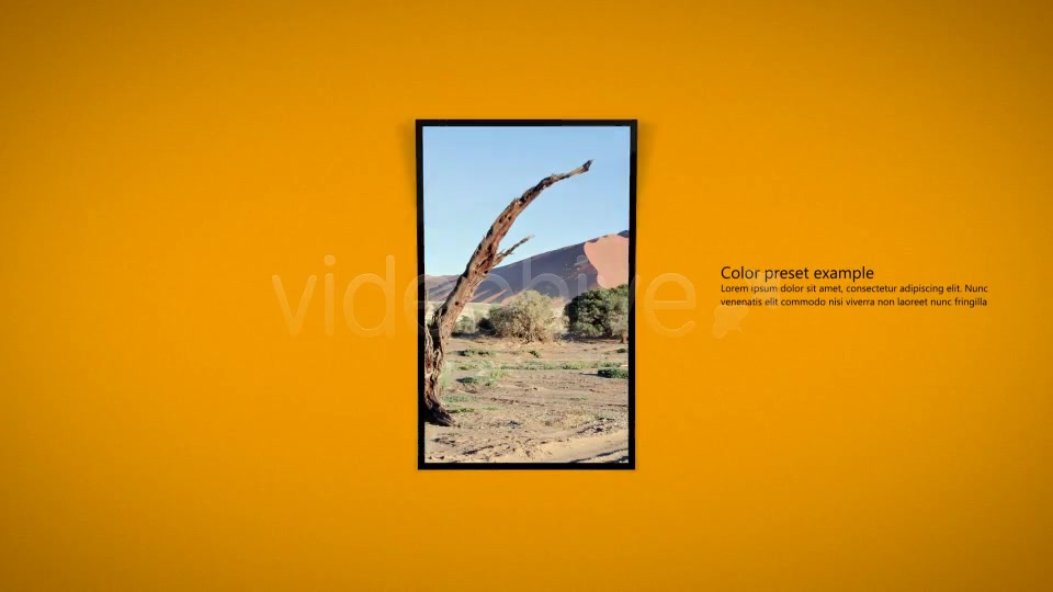 My Smart Album - Download Videohive 1718433