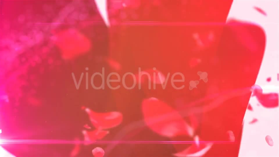 My Valentine Petals Logo Reveal - Download Videohive 14320352