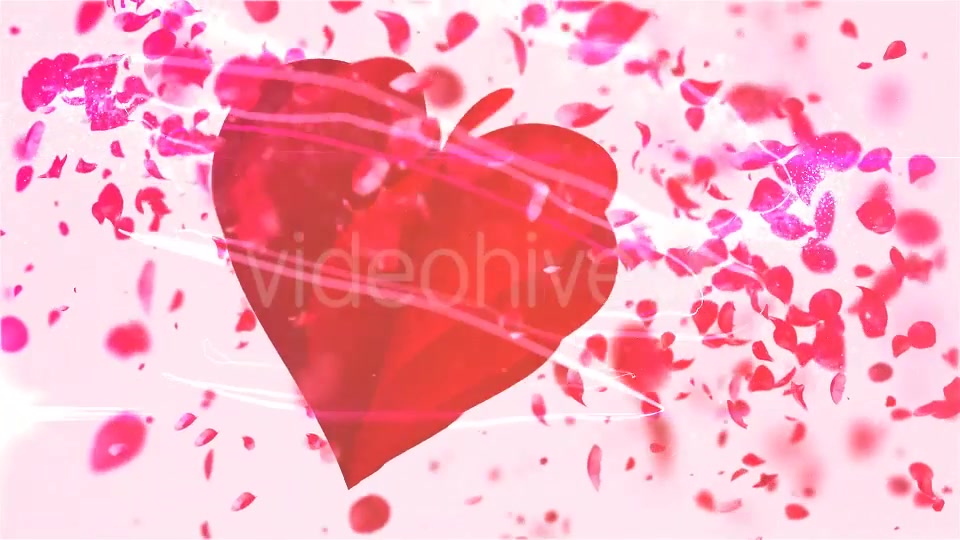 My Valentine Petals Logo Reveal - Download Videohive 14320352