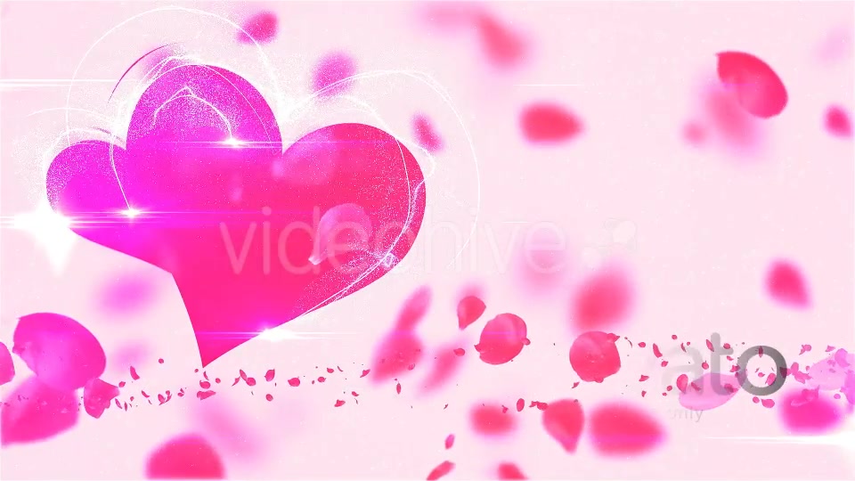 My Valentine Petals Logo Reveal - Download Videohive 14320352