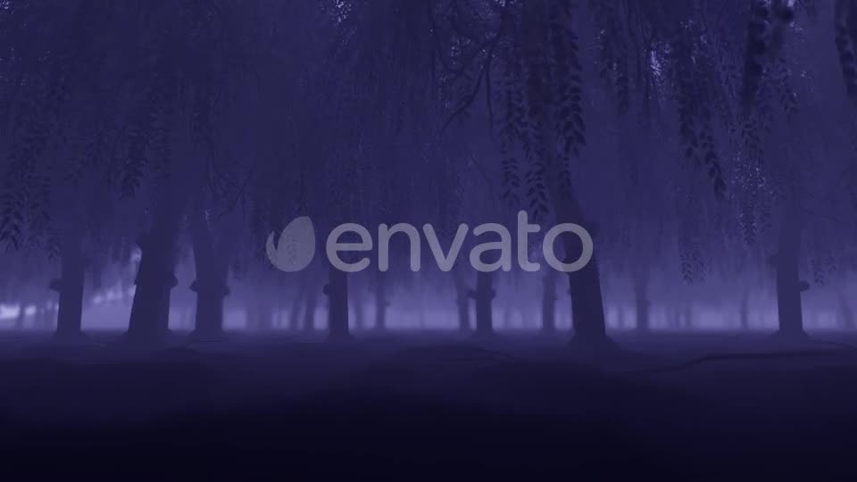 Mystery Forest - Download Videohive 22022530