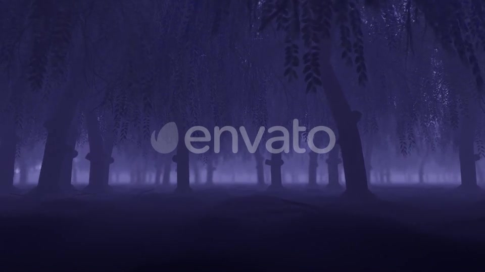 Mystery Forest - Download Videohive 22022530