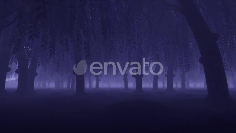 Mystery Forest - Download Videohive 22022530