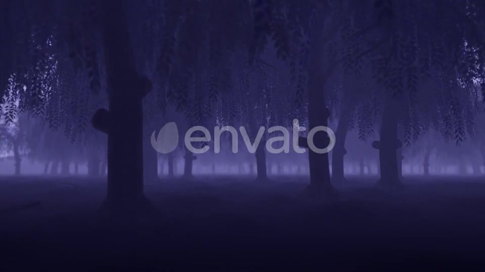 Mystery Forest - Download Videohive 22022530