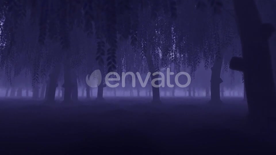 Mystery Forest - Download Videohive 22022530