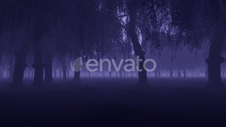 Mystery Forest - Download Videohive 22022530