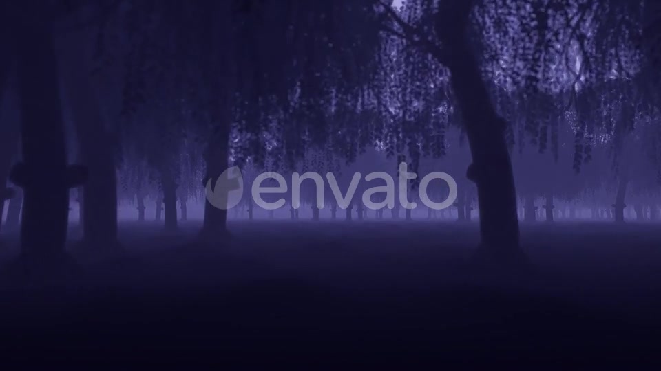 Mystery Forest - Download Videohive 22022530