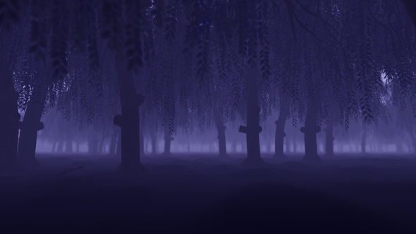 Mystery Forest - Download Videohive 22022530