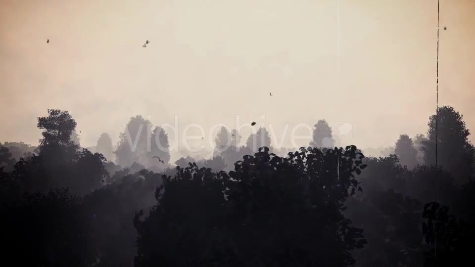 Mystery Horror Forest - Download Videohive 13355344