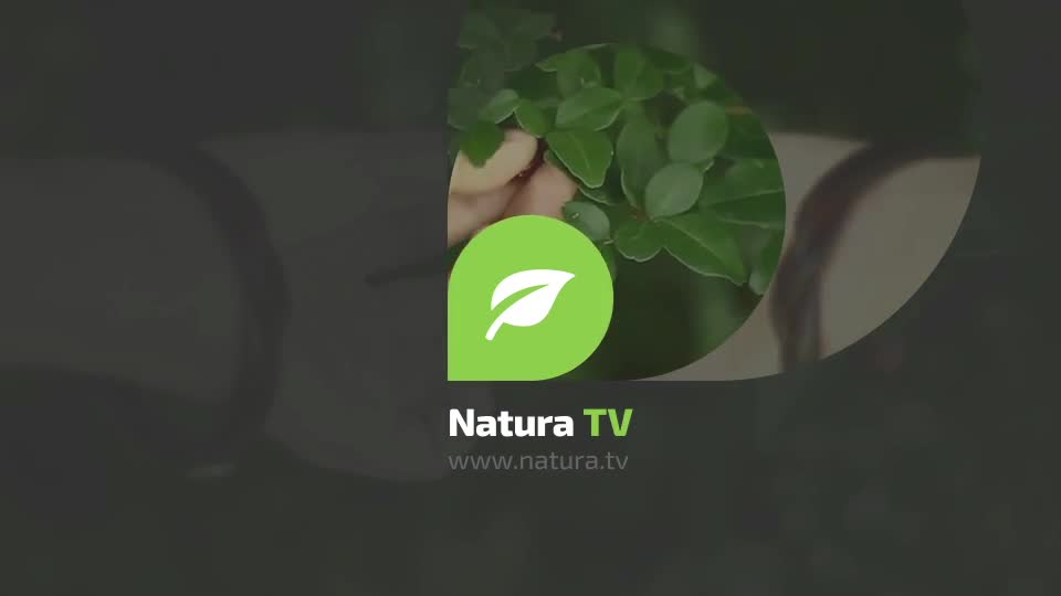 Natura TV Broadcast Ident Videohive 13914644 After Effects Image 1