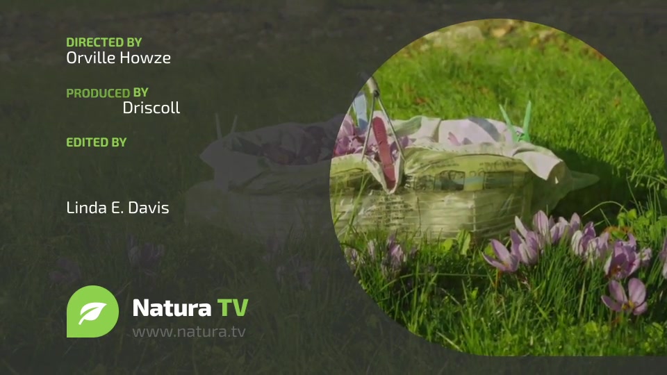 Natura TV Broadcast Ident Videohive 13914644 After Effects Image 12