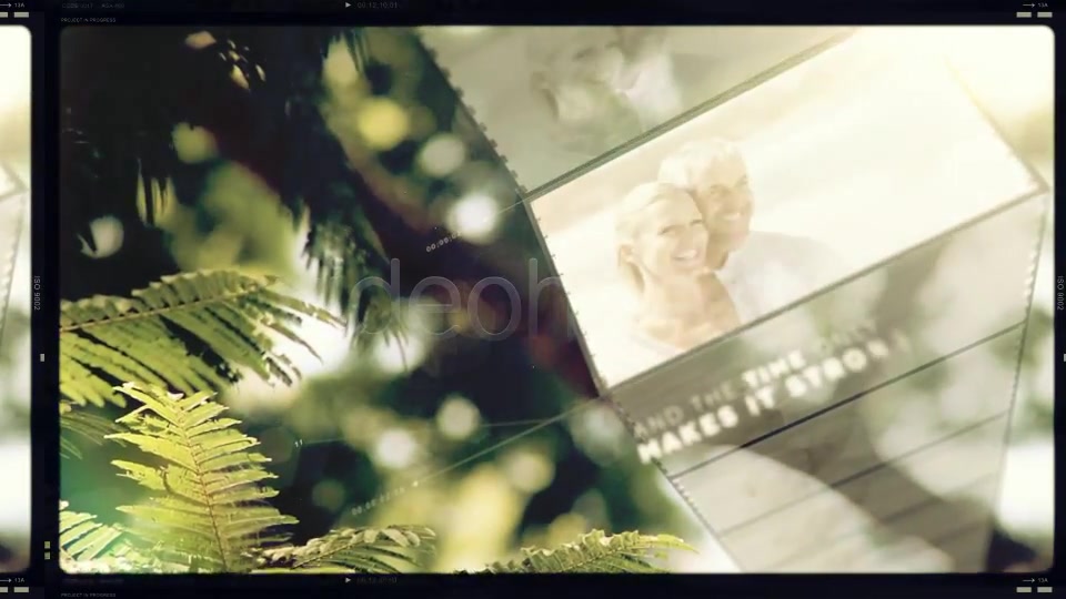 Natural Life - Download Videohive 3772466