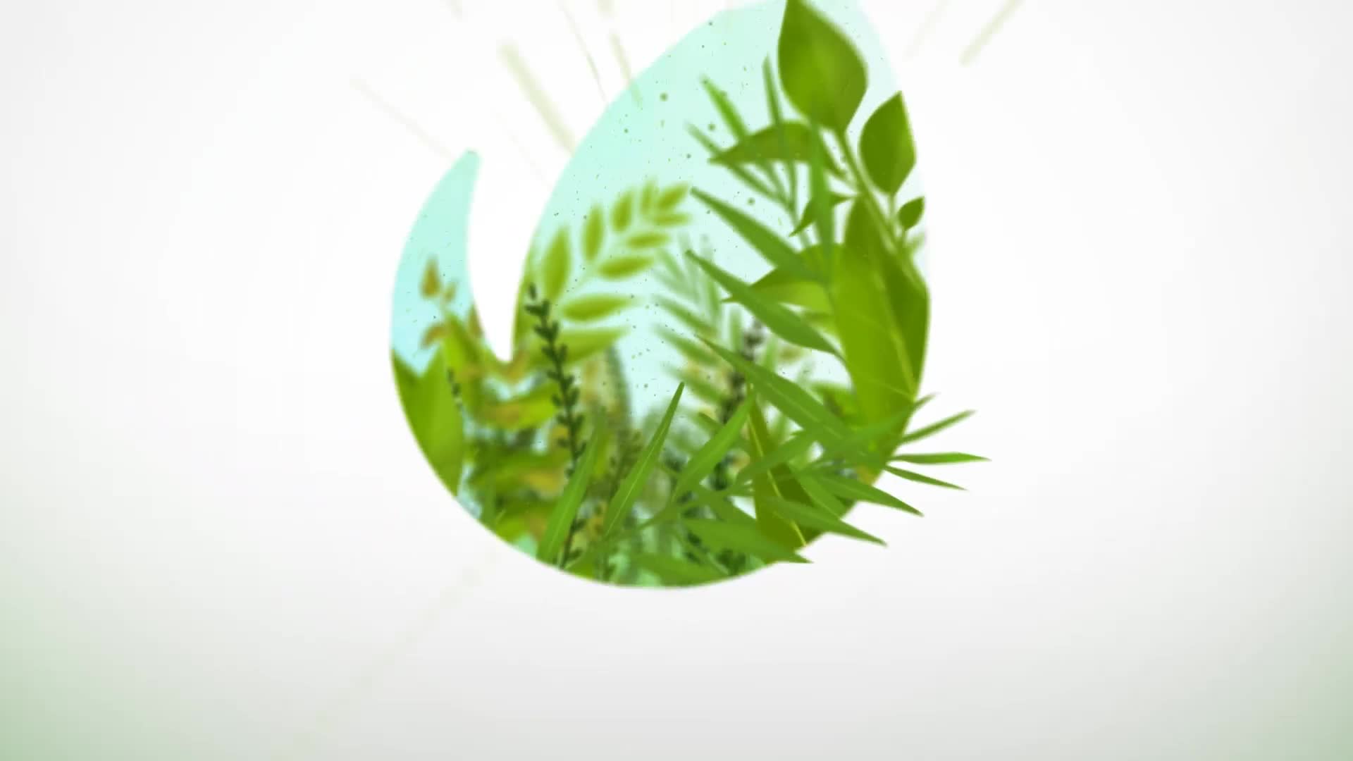 Nature Eco Plants Logo - Download Videohive 22046864